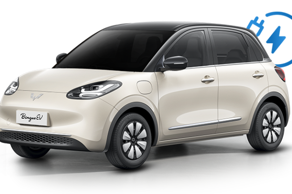 Wuling Binguo EV
