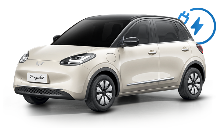 Wuling Binguo EV