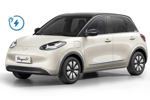Wuling Binguo EV